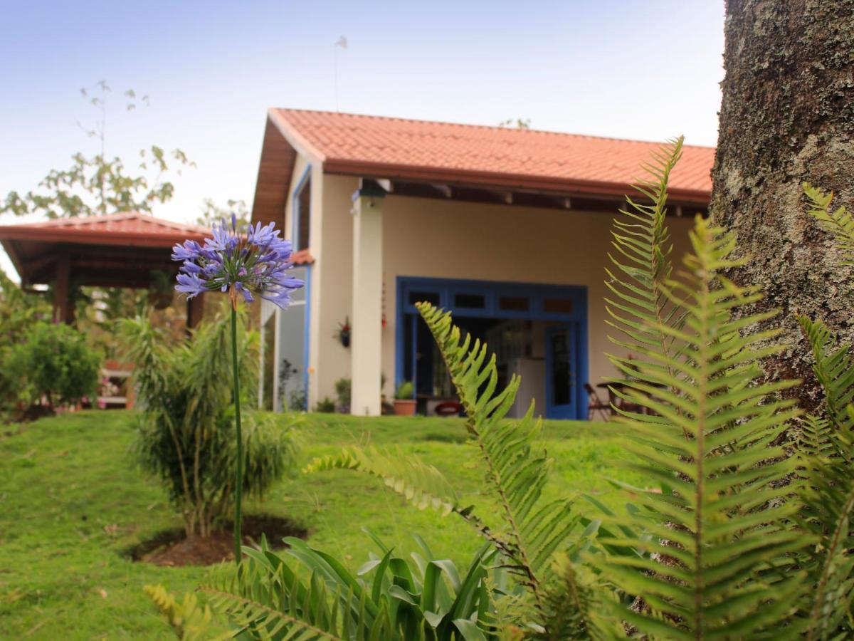 Casa Bartzis, Close To Orosi And Tapanti National Park Dış mekan fotoğraf