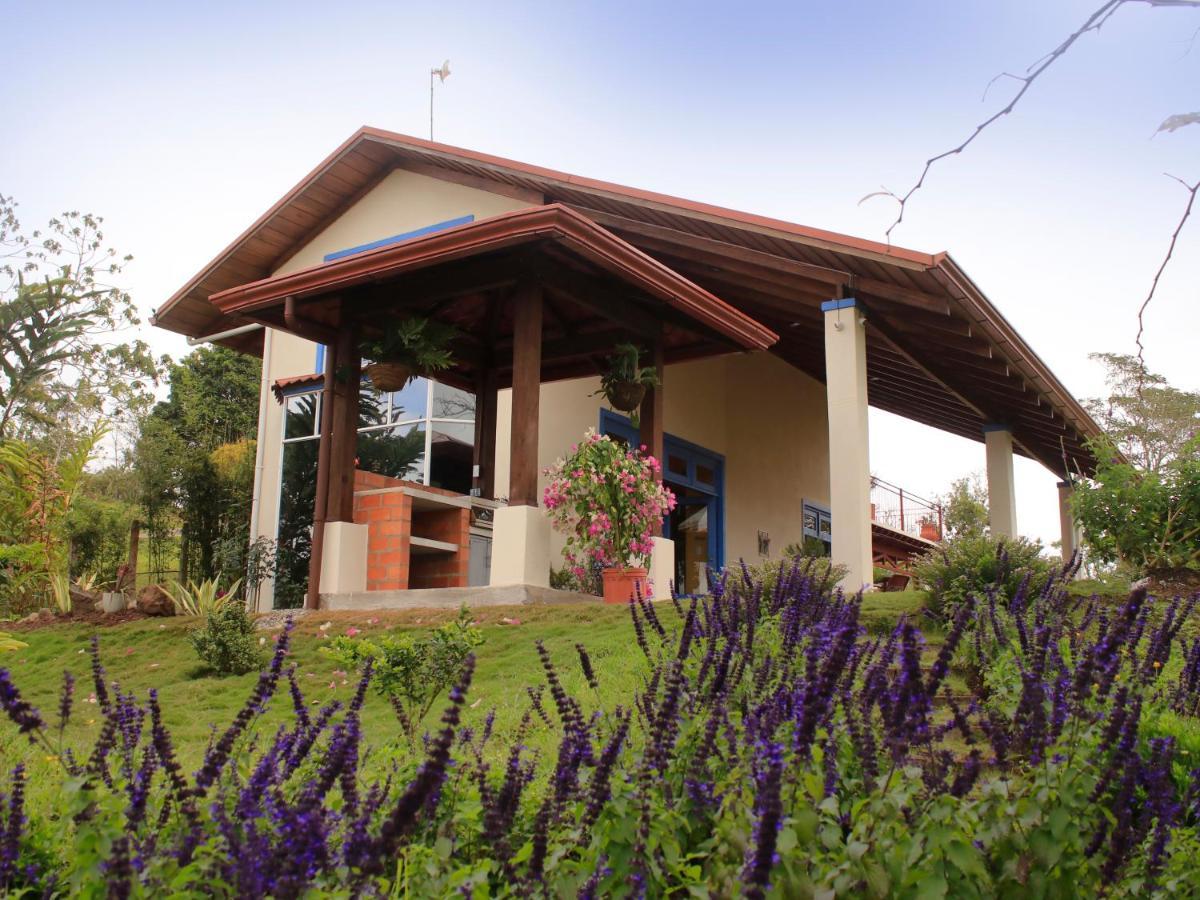 Casa Bartzis, Close To Orosi And Tapanti National Park Dış mekan fotoğraf